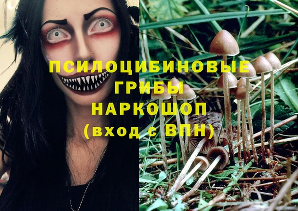 дурь Абаза
