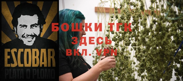 ешки Алзамай