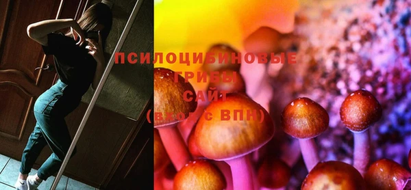 PSILOCYBIN Абинск