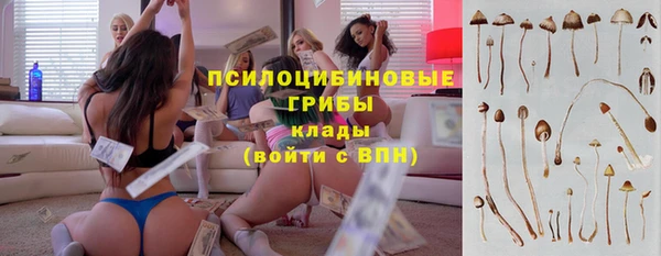 ешки Алзамай