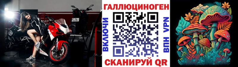 Псилоцибиновые грибы Psilocybe  блэк спрут ссылка  Костерёво 