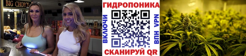 Канабис планчик МЕГА как зайти Костерёво